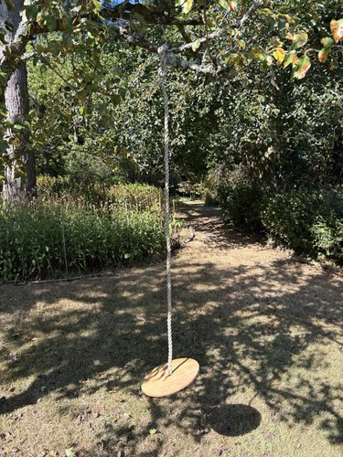 Children rope swing - rope,